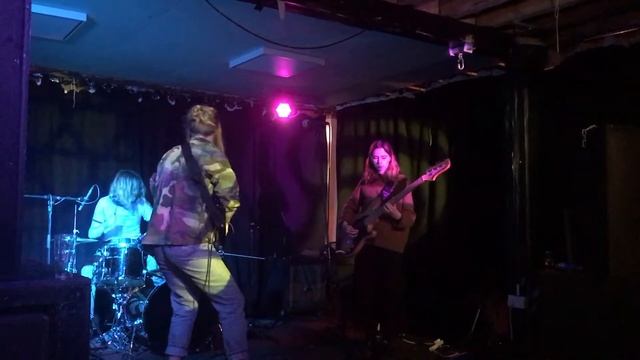Inland Taipan , ?, AATMA ,Manchester , 8/4/17