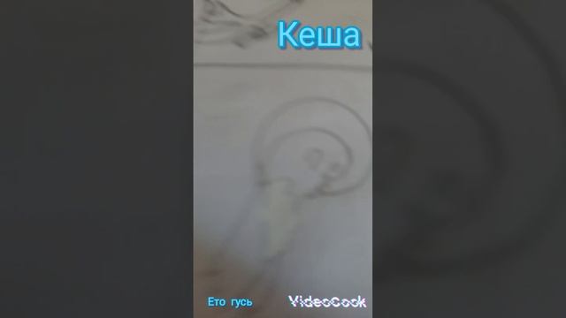 Гусь❣️❤️❤️🩹❤️🔥🧡💛💚💙💜🤎🖤🤍💖💖😝😋🥰🤩😍❣️❤️❤️🩹❤️🔥🧡💛💚💙💜🤎🖤🤍💖💖😝😋🥰🤩😍❣️❤️❤️🩹❤️🔥🧡💛💚💙💜🤎🖤🤍💖💖😝😋🥰🤩😍❣️❤️❤️🩹❤️🔥🧡💛