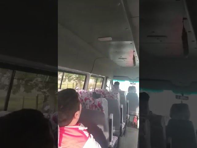 Чили: бездомные собаки вышли на протест вместе с людьми/Chile: en protesta salieron perritos