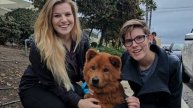 Истощенную лысую дворнягу спасли, и ее внешний вид кардинально изменился