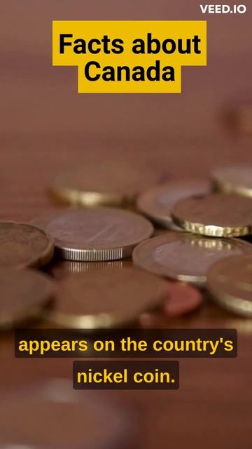 Amazing Facts About Canada | Random Facts | #shorts #canada #facts