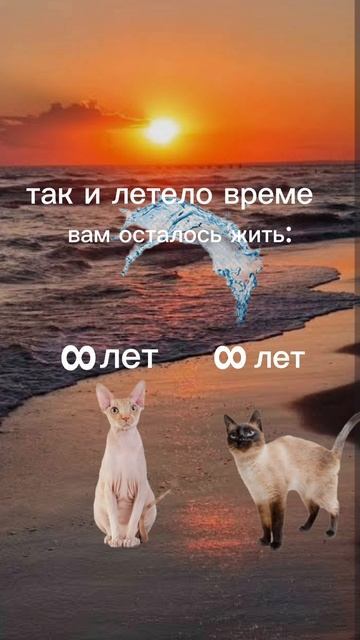 мини фильм🎬 "что ты?,, полностью 🫶