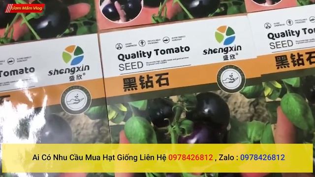 phân phối và bán lẻ hạt giống cà chua đen nhập khẩu đài loan nguyên bao bì ai cần liên hệ shop