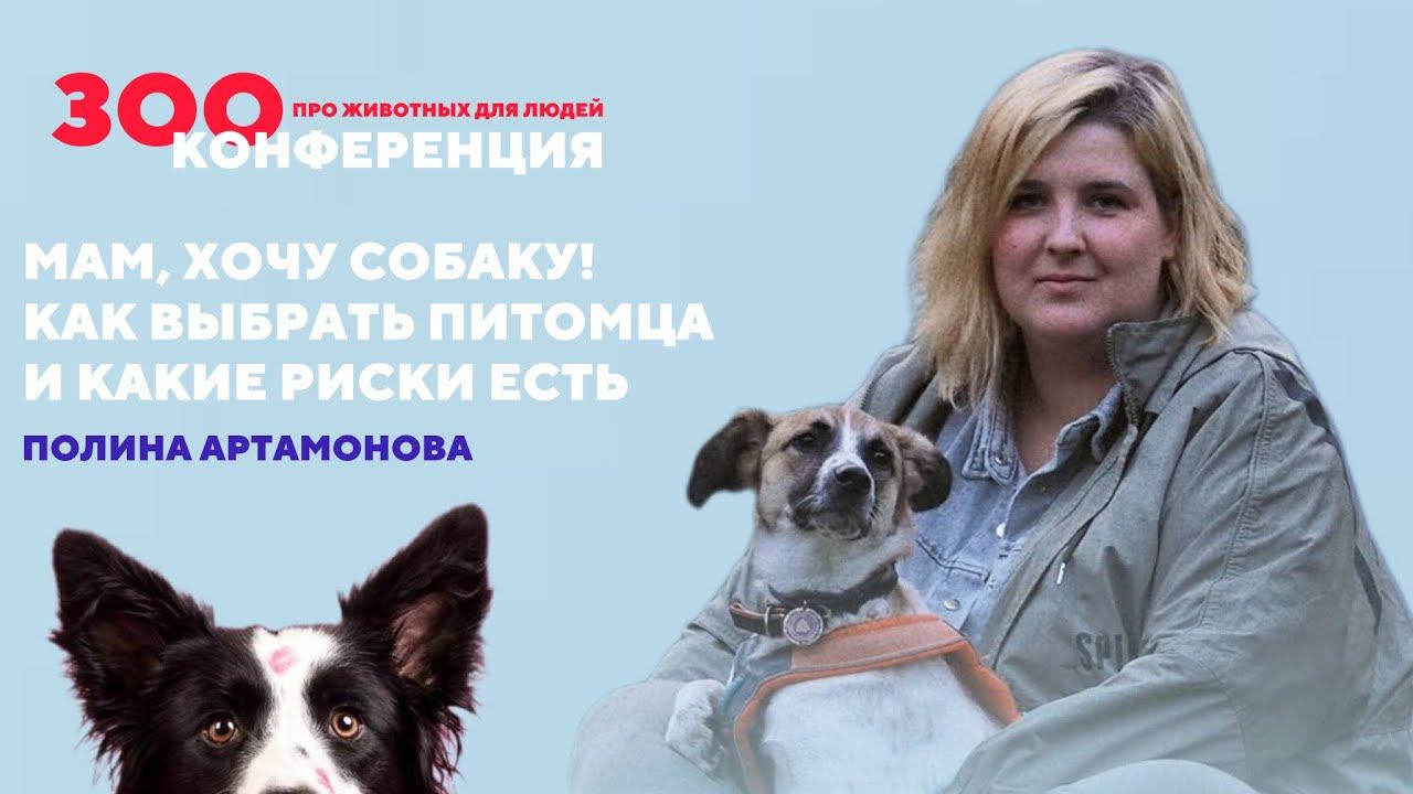 Где и как выбрать собаку | Полина Артамонова | ЗООКОНФЕРЕНЦИЯ