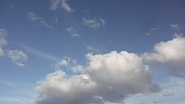 MOV02785