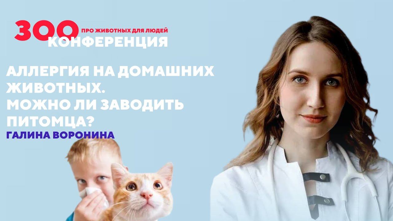 Аллергия на животных, можно ли заводить питомца | Галина Воронина | ЗООКОНФЕРЕНЦИЯ