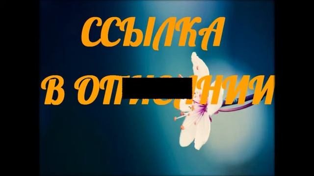 одежда для фитнеса для похудения