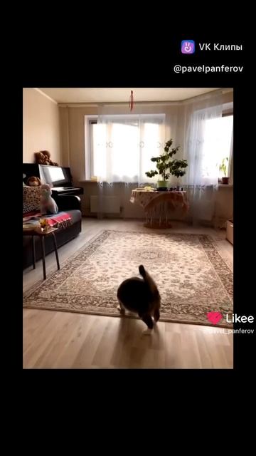 ♥️