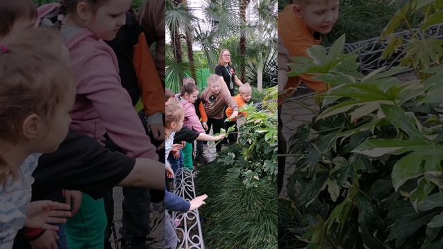 Экскурсия в ботанический сад