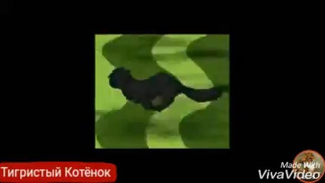 Коты-Воители Остролистая