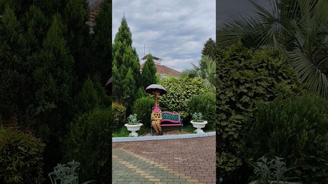 Сочи Санаторий Октябрьский...