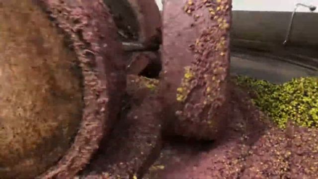 La macinatura delle olive bio 2019/2020