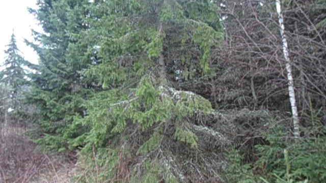 MOV02783