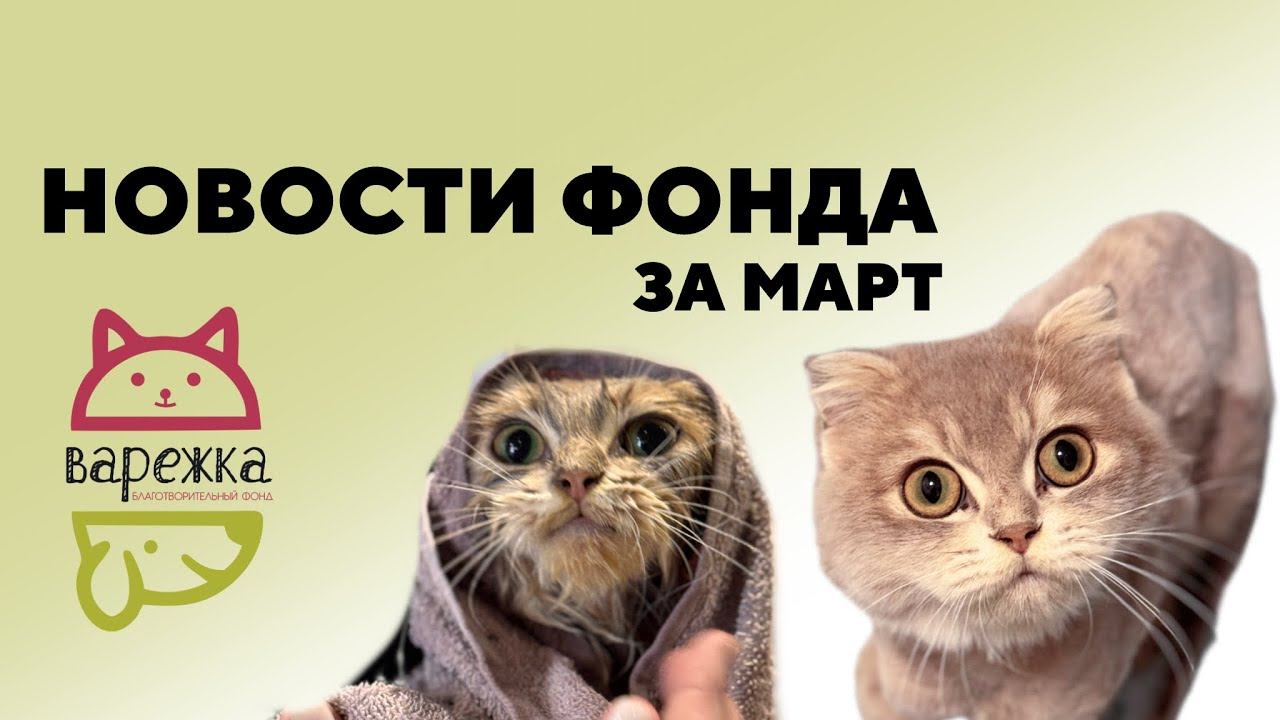Новости БФ «Варежка» за март 2025
