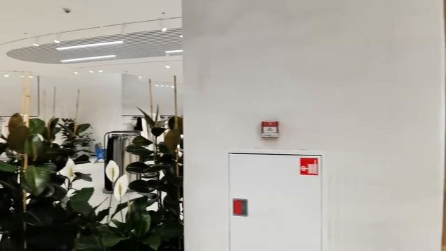 Магазин Lime Авиапарк плоский экран с загнутым углом