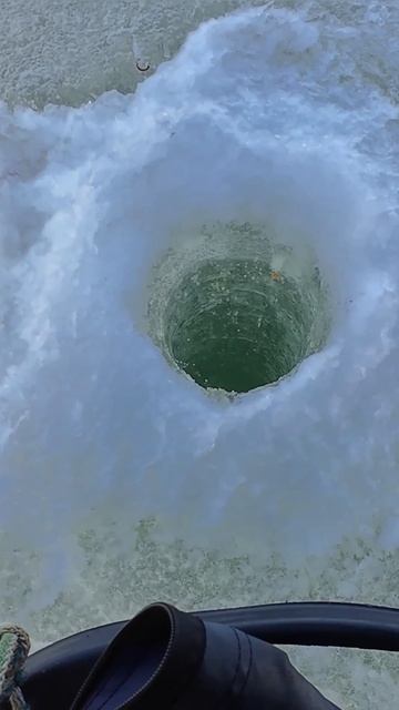 Окунь на мормышку