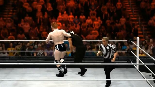 WWE: NEW EVOLUTION MEMBER