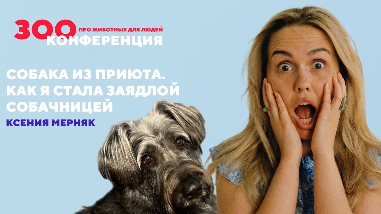 Собака из приюта | Ксения Мерняк | ЗООКОНФЕРЕНЦИЯ