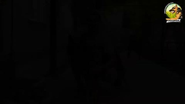 ВИДЕООТЗЫВЫ наших клиентов о нас! Часть 2