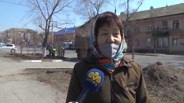 Биыл қала көшелеріне 1300-ден аса ағаш отырғызылмақ