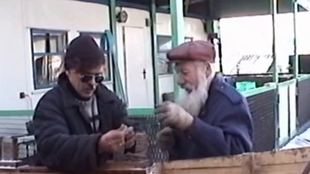 Командор (памяти Виталия Дашевского)