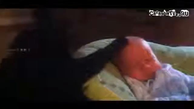 Самое прикольное видео cat lulls baby Снотворный кот нянька