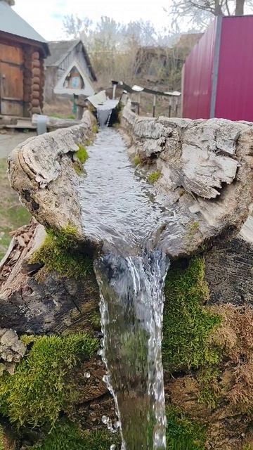 Святой источник. Николаевка. Большеберезниковский район, Мордовия.