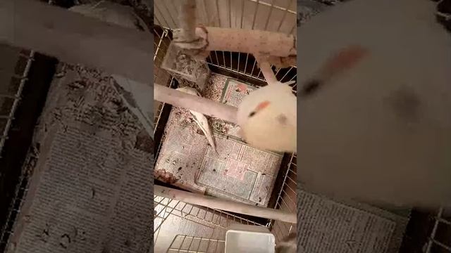 смотрим и не осуждаем