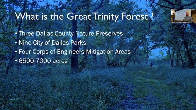 Master Naturalists Present: Big Spring Preserve in Dallas's Great Trinity Forest