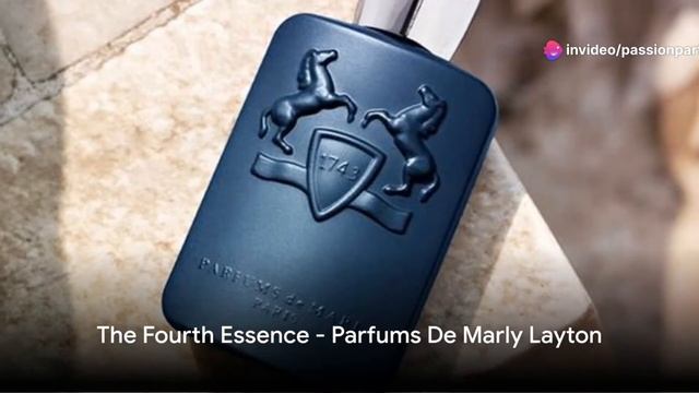 Top 5 Must-Have Fragrances for MEN  In 2024