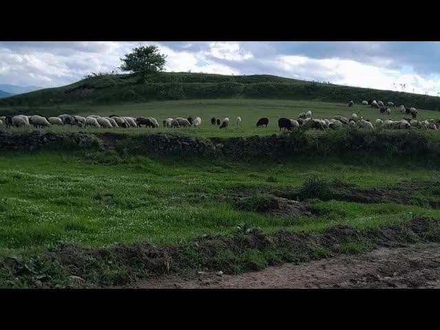Бускри Дахадаевский район Дагестан #природа #