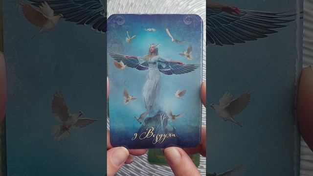 Таро. Карта дня