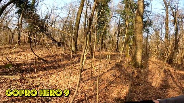GOPRO Hero 9 Black - VS - NILOX Mini WiFi