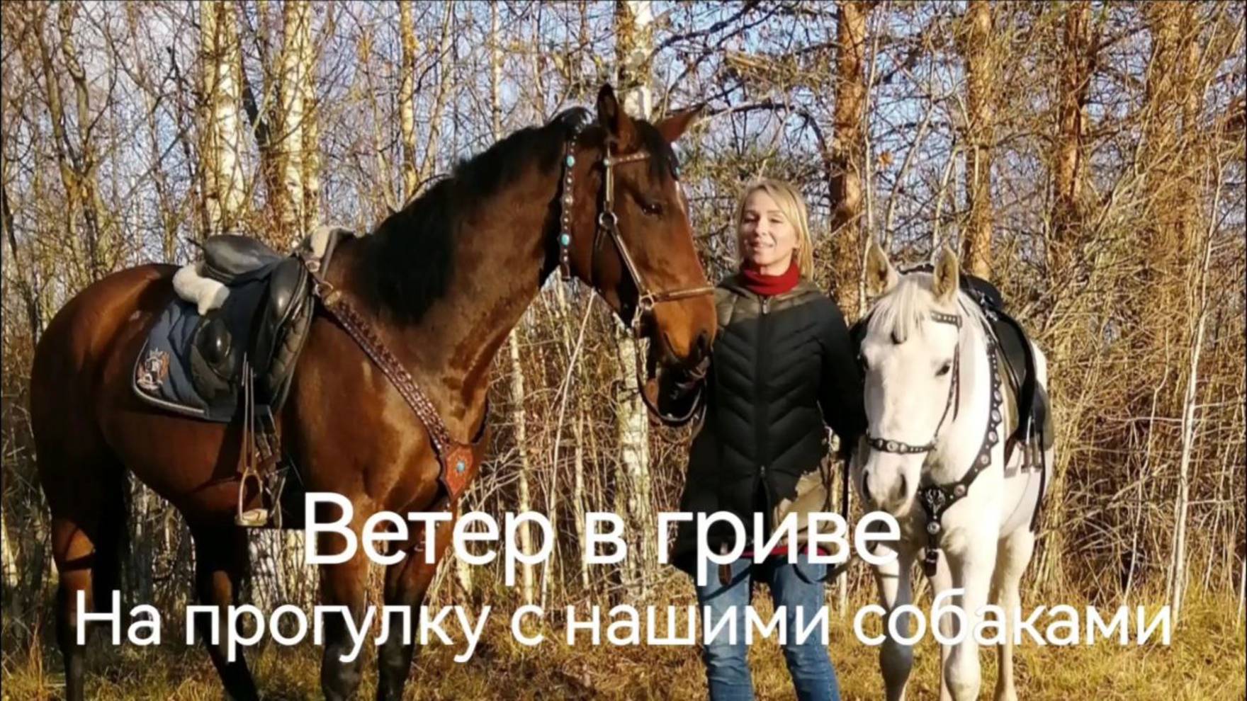Алабаи, лошади и люди. Взаимодействие через взаимоотношения. Это вообще возможно?