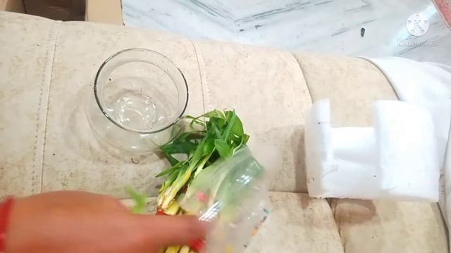 very  lucy  bamboo plant //  From amazon shopping //  under 300 //  smart meghana Telugu channel //