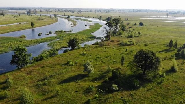 НА РАЗЛИВАХ ДЕСНЫ: ОСТРОВ ЛЮБИЧЕВ. СТАРУХИ и ОЗЕРО МЛИНОВИЩЕ. ВЗГЛЯД С НЕБА [2.7K@60] (12.06.2022)