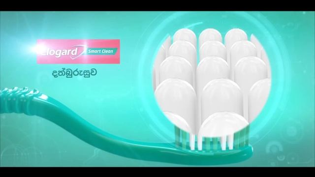 Clogard Smart Clean with the best end rounded bristles