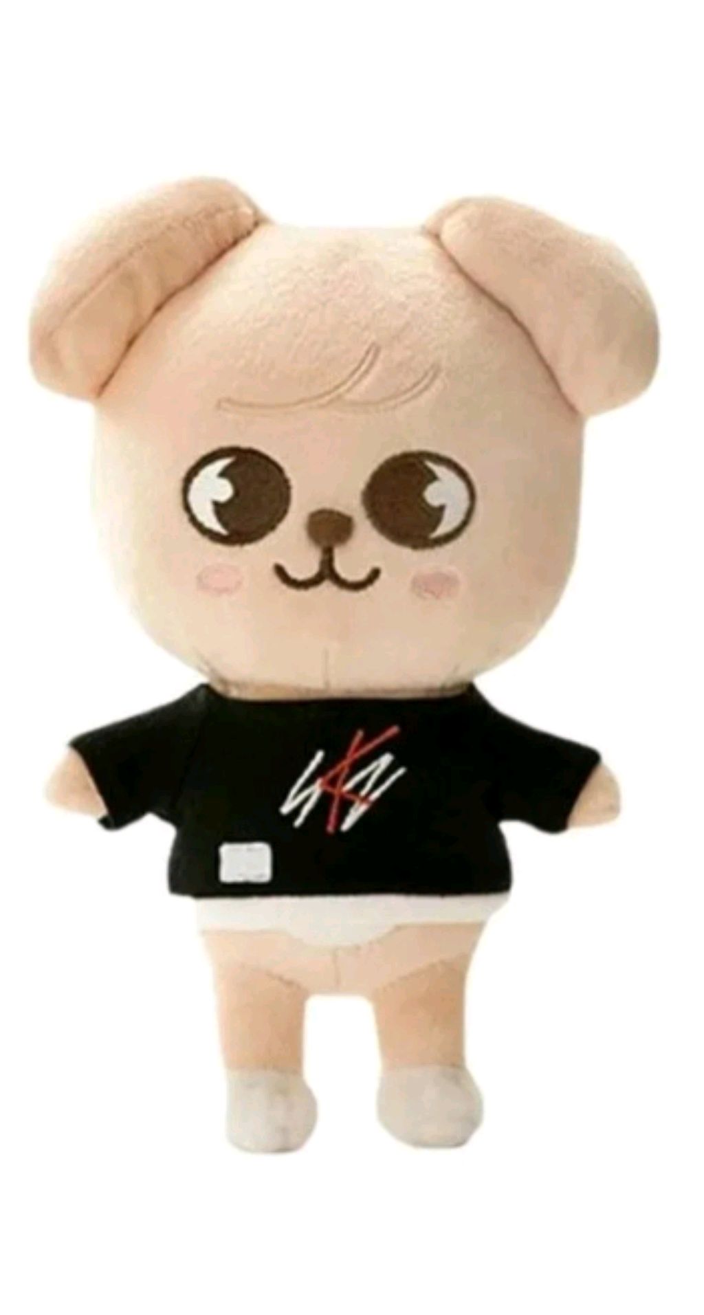 сборы в школу