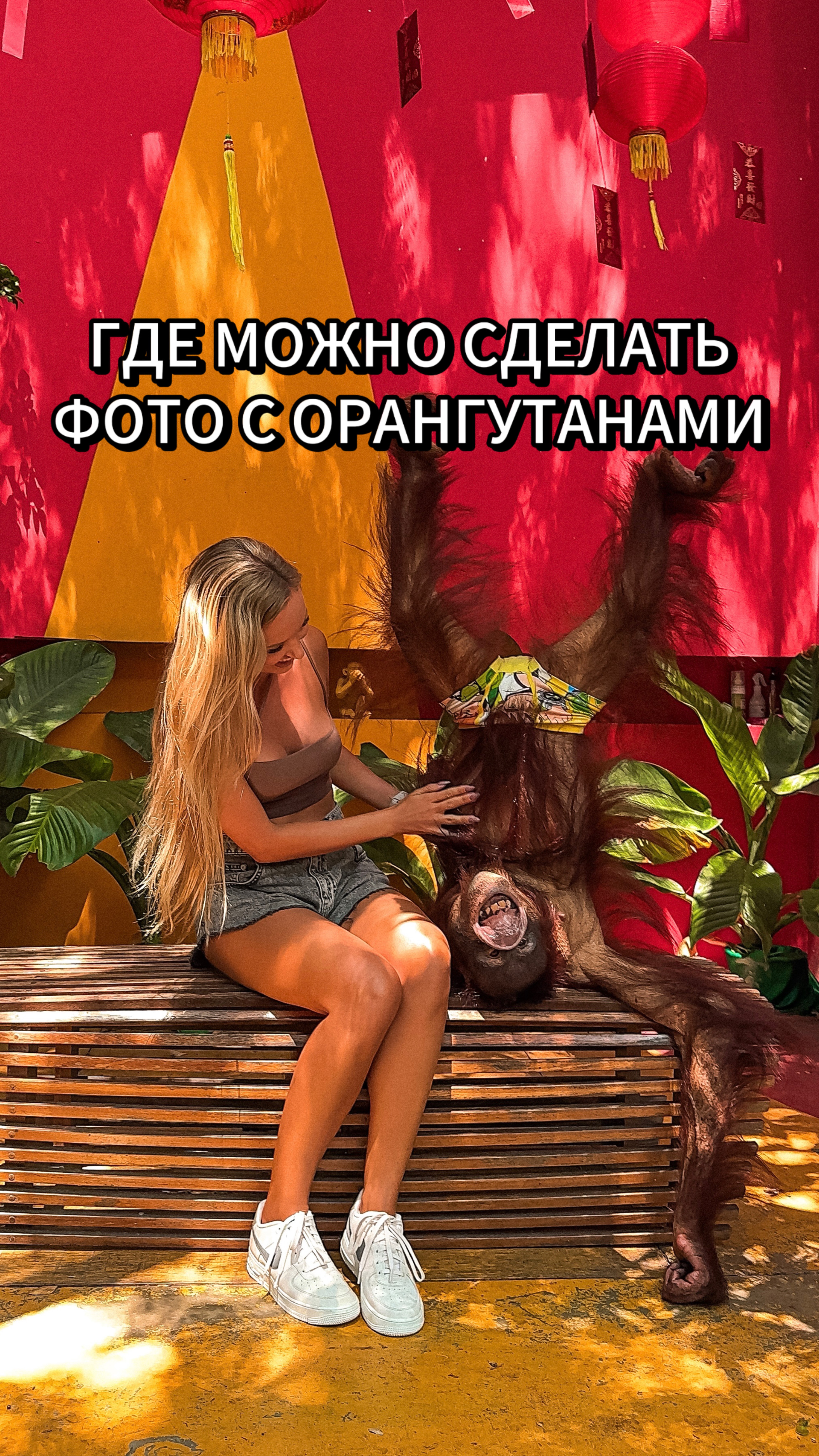ГДЕ В БАНГКОКЕ МОЖНО УВИДЕТЬ ОРАНГУТАНОВ И СДЕЛАТЬ С НИМИ ФОТО И ВИДЕО