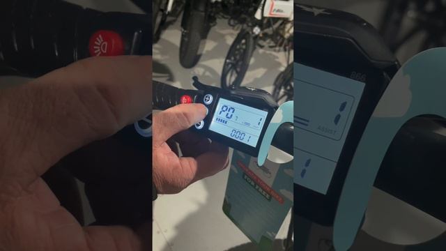 Original Factory Setting Commute, Hunter and Panther E Bike