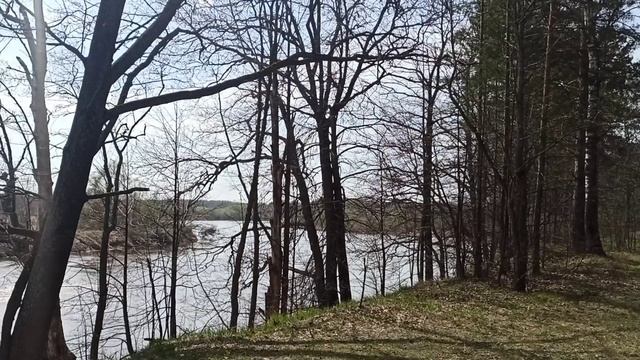 красота родного края #природа