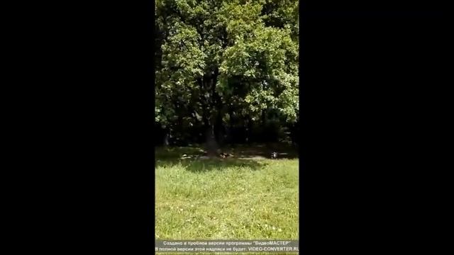 Флешмоб в защиту парка "Дружба" от застройки - мнение Татьяныы