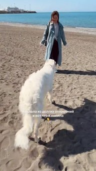 Чтобы построить зрелые, вдохновляющие отношения, важно начать с главного — с отношений с собой.💜