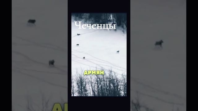Не-Чеченец про Чеченцев. Армян Арютунов