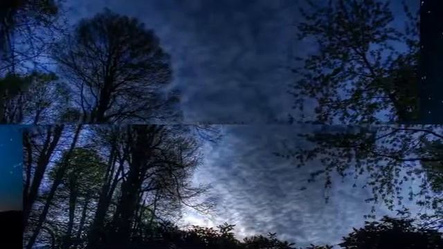 Муз. і сл. М. Мотков - 
