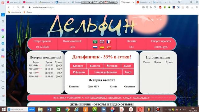 рестарт проекта "Розовый дельфин" Платит 33% в сутки!