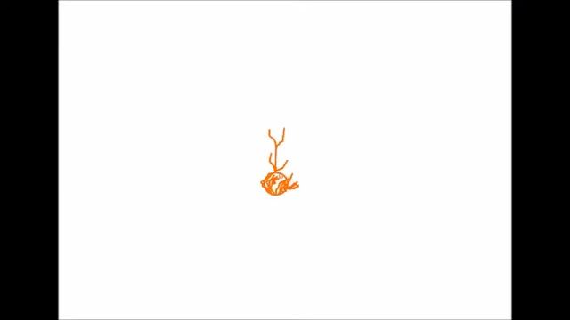 Lapin.Bouseux - Mosh(pit)room