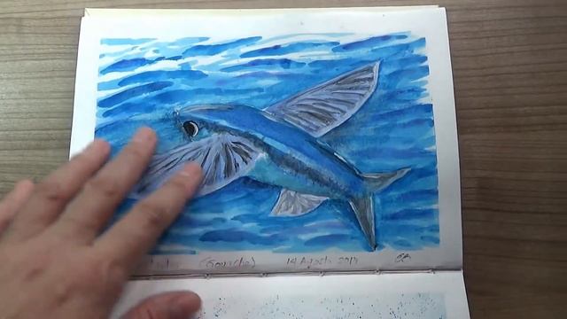 Artist's Book: Daily Drawing with Gouache: Sea Animals (August 2017)