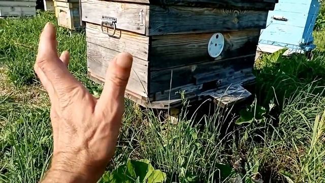2 июля 2024 г. откачиваю, встал на первый круг.