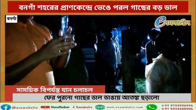 #Bata more : বনগাঁ শহরের প্রাণকেন্দ্রে ভেঙে পরল গাছের বড় ডাল - A big branch of a tree broke
